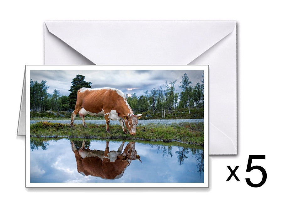 Cards: 5 Lille speil... (Mirror, Mirror...)