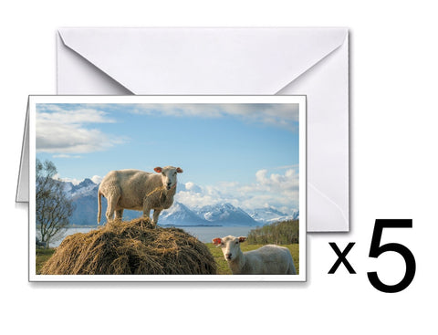 Doble kort: Høyt på strå