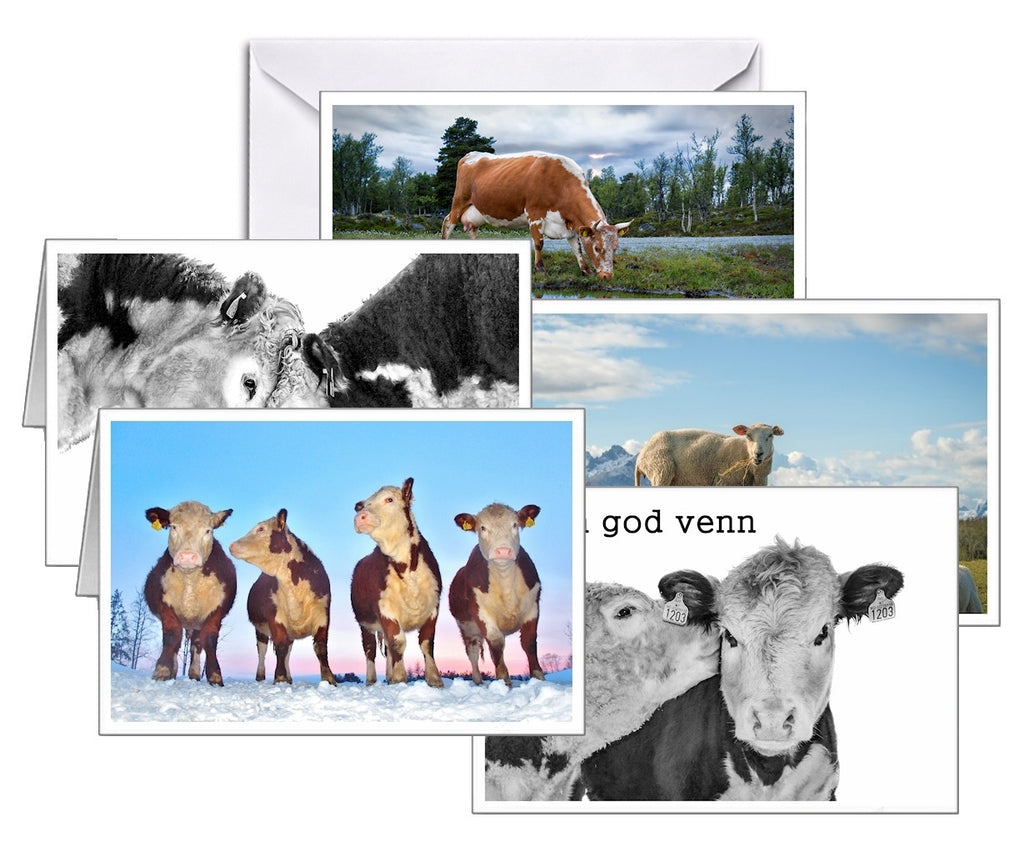 Cards: 5 different cards