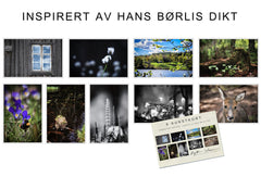 Art Cards: Nothing is urgent (Børli)