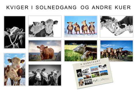 Kunstkort: Kviger i solnedgang og andre kuer