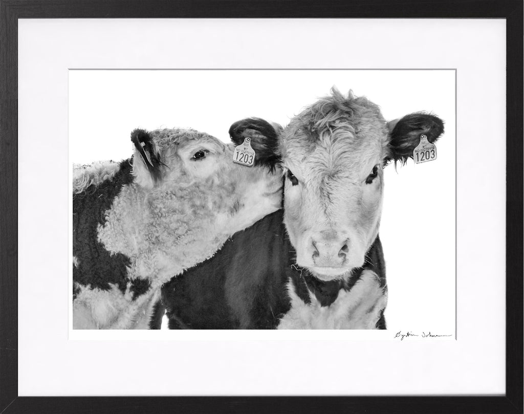 Lille venn (Sweetheart)