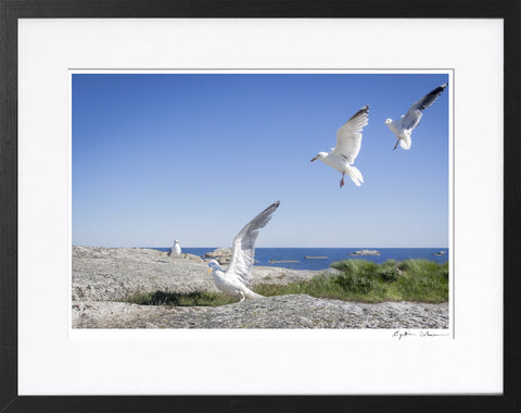 Landing på Verdens ende
