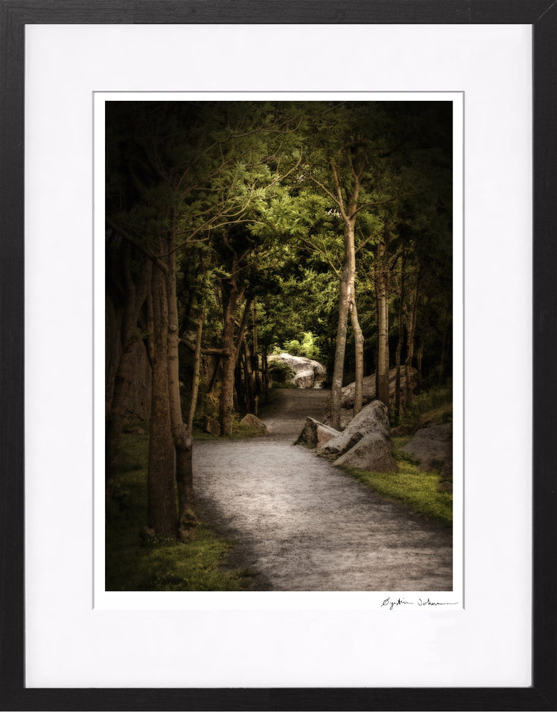 Stien til Verdens Ende (The Path to World's End)