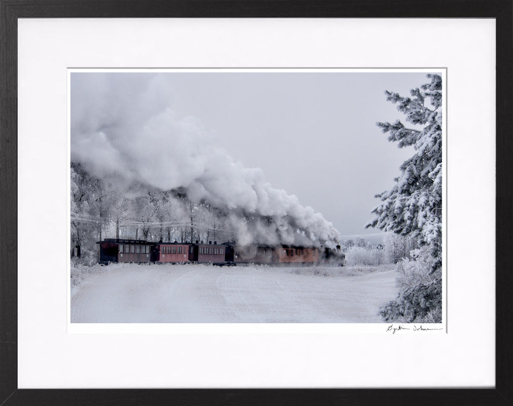 Vintereventyr (Winter Fairytale)